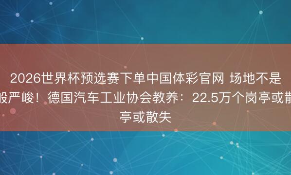 2026世界杯预选赛下单中国体彩官网 场地不是一般严峻!德国汽车工业协会教养:22.5万个岗亭或散失
