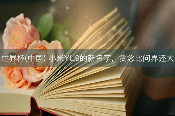 世界杯(中国) 小米YU9的新名字，贪念比问界还大