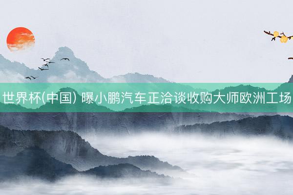世界杯(中国) 曝小鹏汽车正洽谈收购大师欧洲工场