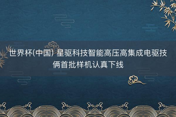 世界杯(中国) 星驱科技智能高压高集成电驱技俩首批样机认真下线