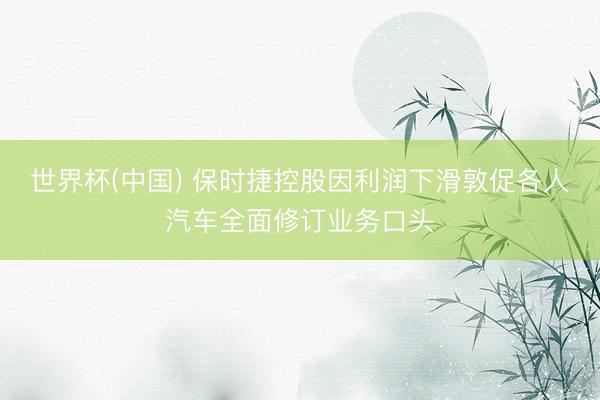 世界杯(中国) 保时捷控股因利润下滑敦促各人汽车全面修订业务口头