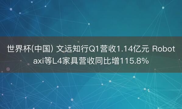 世界杯(中国) 文远知行Q1营收1.14亿元 Robotaxi等L4家具营收同比增115.8%