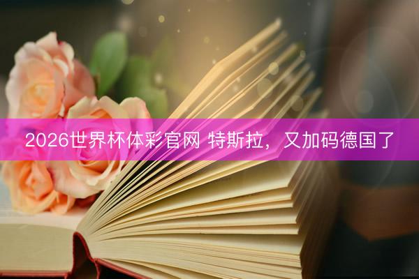 2026世界杯体彩官网 特斯拉,又加码德国了