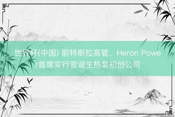 世界杯(中国) 前特斯拉高管、Heron Power首席实行官诞生热泵初创公司