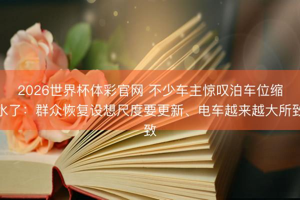 2026世界杯体彩官网 不少车主惊叹泊车位缩水了：群众恢复设想尺度要更新、电车越来越大所致
