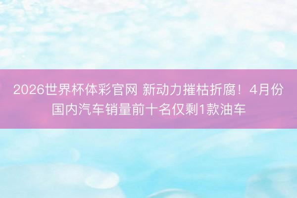 2026世界杯体彩官网 新动力摧枯折腐！4月份国内汽车销量前十名仅剩1款油车