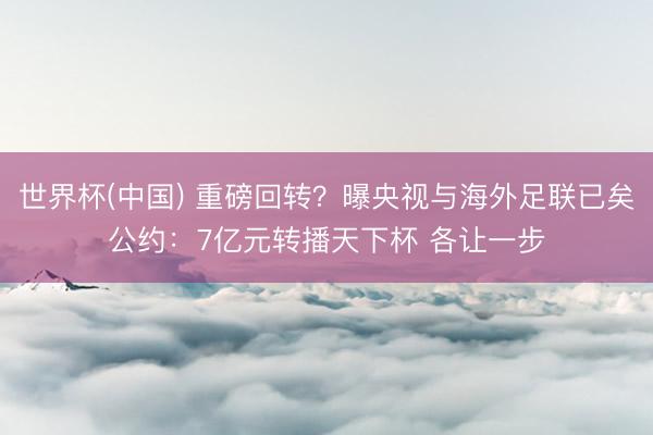 世界杯(中国) 重磅回转？曝央视与海外足联已矣公约：7亿元转播天下杯 各让一步