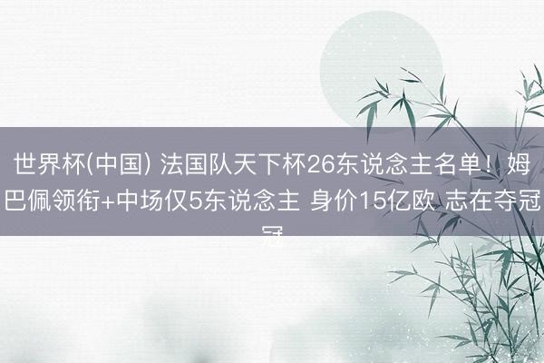 世界杯(中国) 法国队天下杯26东说念主名单！姆巴佩领衔+中场仅5东说念主 身价15亿欧 志在夺冠