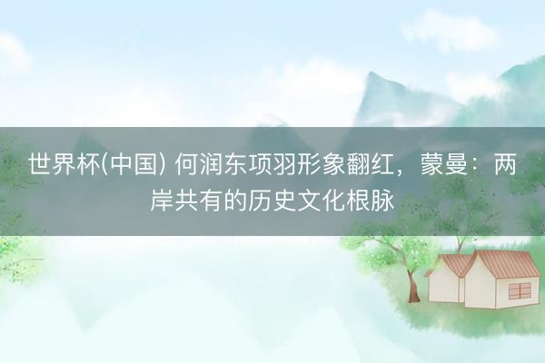 世界杯(中国) 何润东项羽形象翻红，蒙曼：两岸共有的历史文化根脉