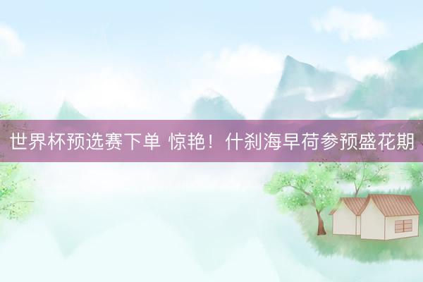 世界杯预选赛下单 惊艳！什刹海早荷参预盛花期