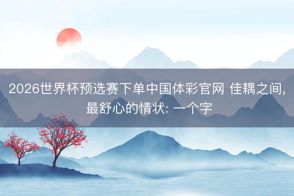 2026世界杯预选赛下单中国体彩官网 佳耦之间， 最舒心的情状: 一个字