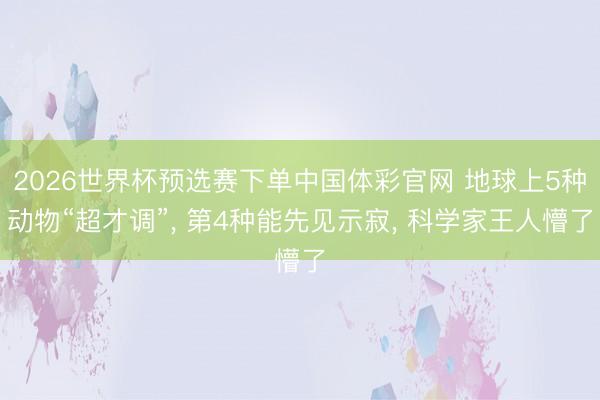 2026世界杯预选赛下单中国体彩官网 地球上5种动物“超才调”， 第4种能先见示寂， 科学家王人懵了