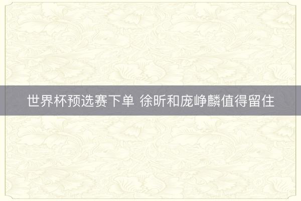 世界杯预选赛下单 徐昕和庞峥麟值得留住