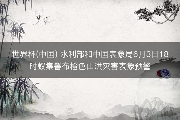 世界杯(中国) 水利部和中国表象局6月3日18时蚁集髻布橙色山洪灾害表象预警