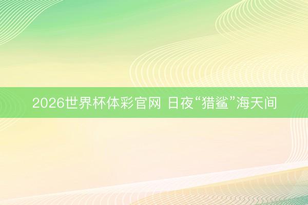 2026世界杯体彩官网 日夜“猎鲨”海天间