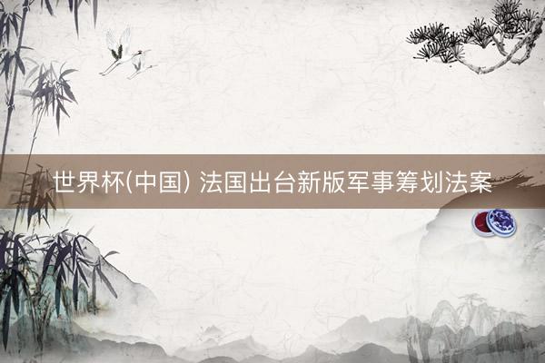 世界杯(中国) 法国出台新版军事筹划法案
