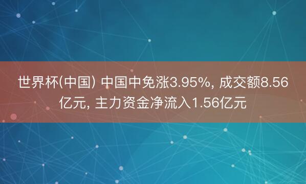 世界杯(中国) 中国中免涨3.95%， 成交额8.56亿元， 主力资金净流入1.56亿元