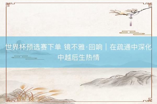 世界杯预选赛下单 镜不雅·回响|在疏通中深化中越后生热情