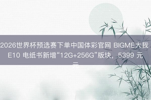 2026世界杯预选赛下单中国体彩官网 BIGME大我 E10 电纸书新增“12G+256G”版块，5399 元