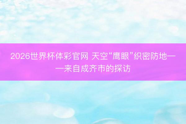2026世界杯体彩官网 天空“鹰眼”织密防地——来自成齐市的探访