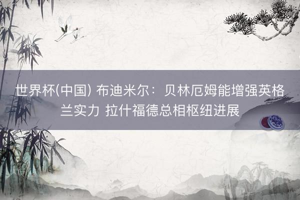 世界杯(中国) 布迪米尔:贝林厄姆能增强英格兰实力 拉什福德总相枢纽进展