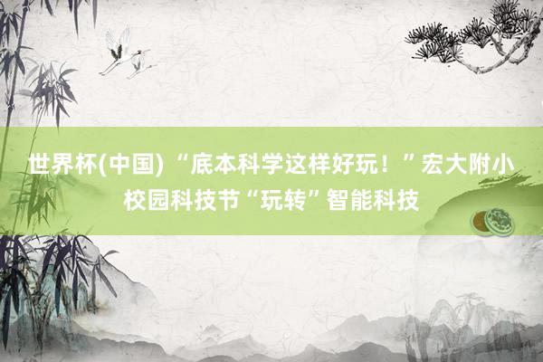 世界杯(中国) “底本科学这样好玩!”宏大附小校园科技节“玩转”智能科技